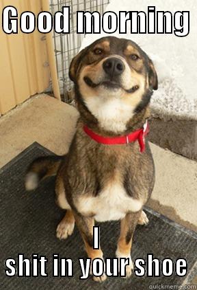 GOOD MORNING  I SHIT IN YOUR SHOE Good Dog Greg