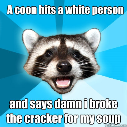 A coon hits a white person and says damn i broke the cracker for my soup  Lame Pun Coon