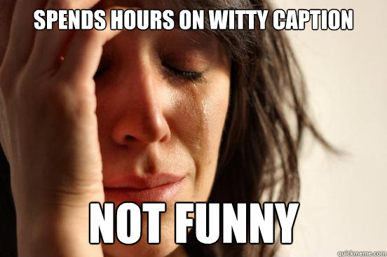 Spends hours on witty caption NOT FUNNY  First World Problems