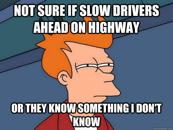 Not sure if slow drivers ahead on highway or they know something i don't know - Not sure if slow drivers ahead on highway or they know something i don't know  Futurama Fry