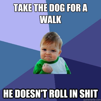 Take the dog for a walk He doesn't roll in shit  Success Kid