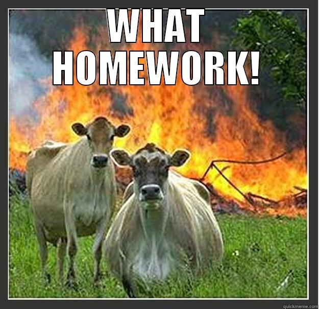 WHAT HOMEWORK!  Evil cows