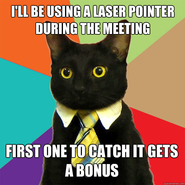 I'll be using a laser pointer during the meeting First one to catch it gets a bonus - I'll be using a laser pointer during the meeting First one to catch it gets a bonus  Business Cat