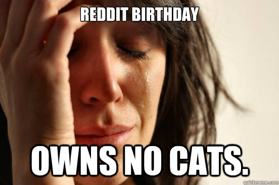 Reddit Birthday Owns no cats.  First World Problems