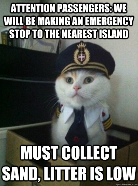 attention passengers: we will be making an emergency stop to the nearest island must collect sand, litter is low  Captain kitteh