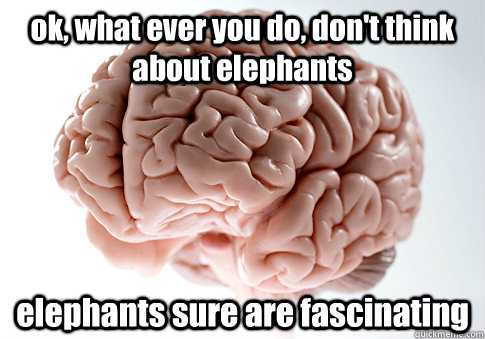 ok, what ever you do, don't think about elephants  elephants sure are fascinating   Scumbag Brain