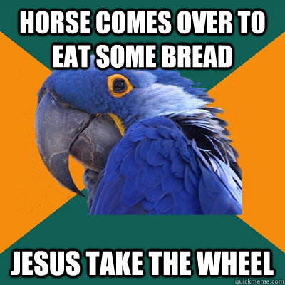 HORSE COMES OVER TO EAT SOME BREAD JESUS TAKE THE WHEEL  Paranoid Parrot