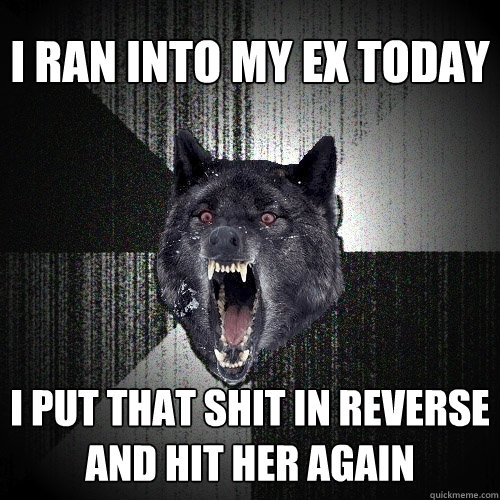 I ran into my ex today i put that shit in reverse and hit her again  Insanity Wolf