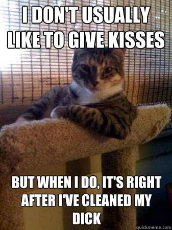 I don't usually like to give kisses but when I do, it's right after I've cleaned my dick  The Most Interesting Cat in the World