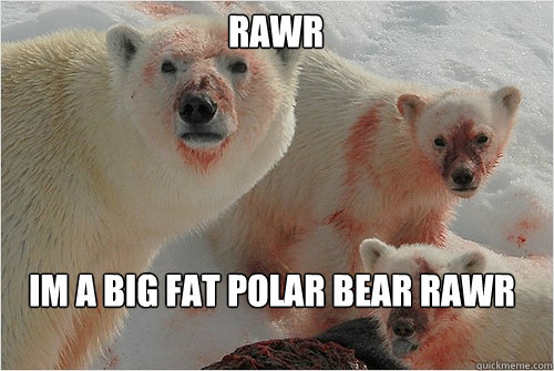 RAWR  IM A BIG FAT POLAR BEAR RAWR  