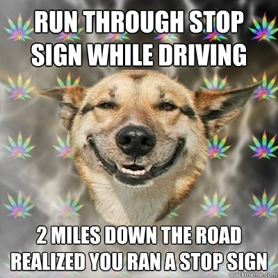 run through stop sign while driving 2 miles down the road realized you ran a stop sign - run through stop sign while driving 2 miles down the road realized you ran a stop sign  Stoner Dog