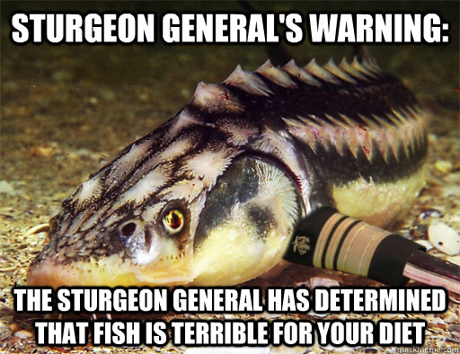 Sturgeon General's Warning: the sturgeon general has determined that fish is terrible for your diet  Sturgeon General