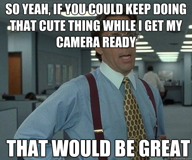 So yeah, if you could keep doing that cute thing while i get my camera ready THAT WOULD BE GREAT - So yeah, if you could keep doing that cute thing while i get my camera ready THAT WOULD BE GREAT  that would be great