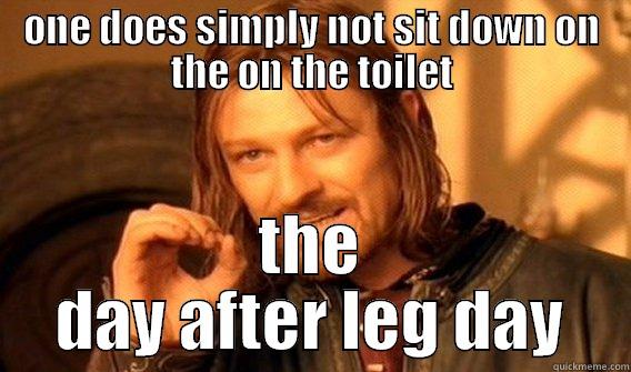 ONE DOES SIMPLY NOT SIT DOWN ON THE ON THE TOILET THE DAY AFTER LEG DAY One Does Not Simply