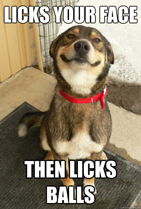 Licks your face then licks balls - Licks your face then licks balls  Good Guy Dog