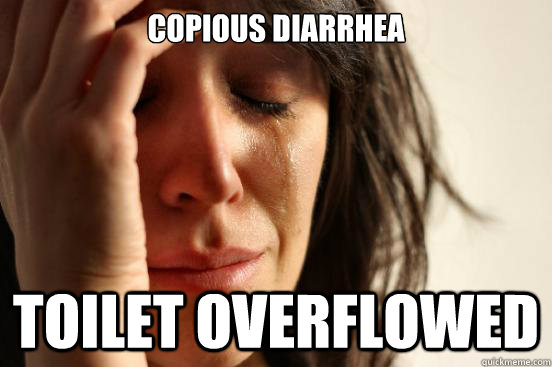 copious diarrhea  toilet overflowed  First World Problems