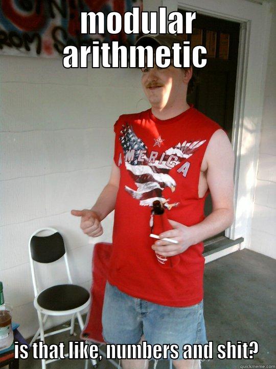  MODULAR ARITHMETIC IS THAT LIKE, NUMBERS AND SHIT? Redneck Randal