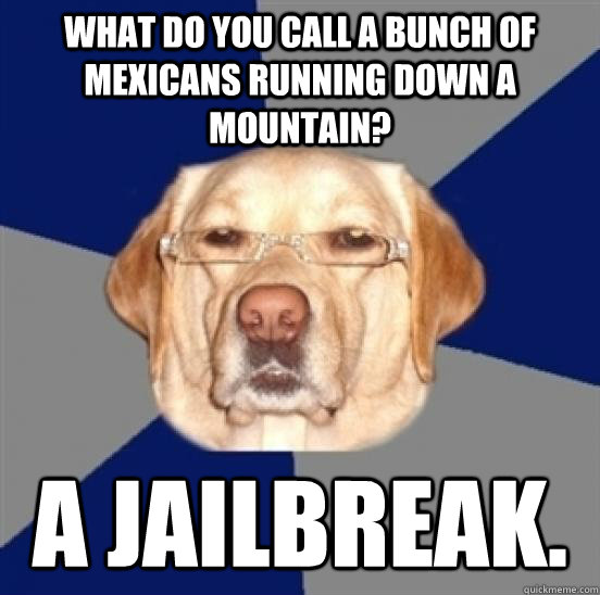 What do you call a bunch of mexicans running down a mountain? A Jailbreak.  Racist Dog