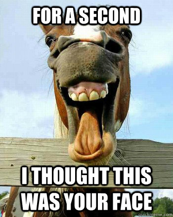 for a second i thought this was your face - for a second i thought this was your face  Laughs at Everything Horse