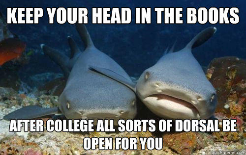 keep your head in the books after college all sorts of dorsal be open for you  Compassionate Shark Friend