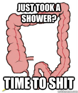 Just took a shower? Time to shit  Scumbag Bowels