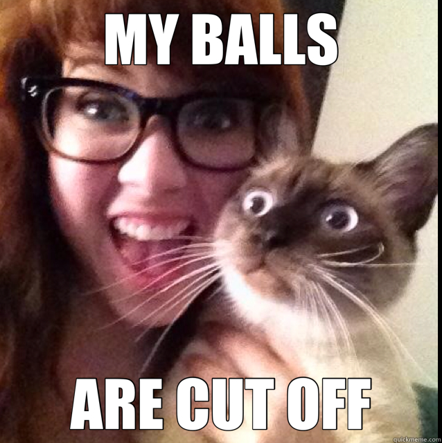 MY BALLS ARE CUT OFF - MY BALLS ARE CUT OFF  Sudden Clarity Kitty
