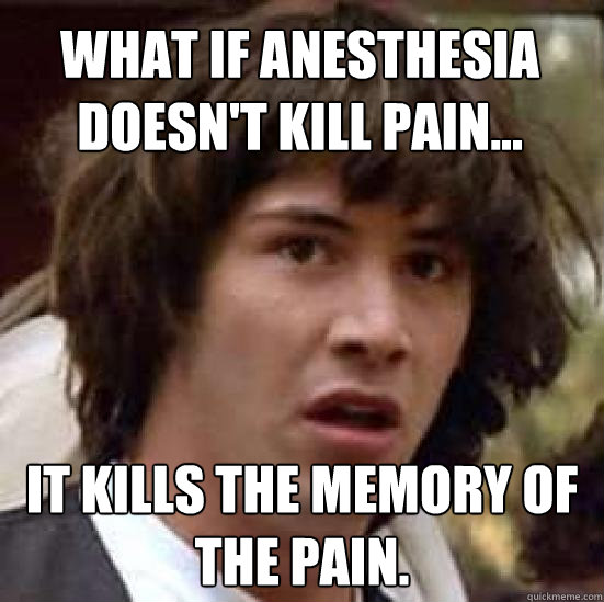 What if anesthesia doesn't kill pain... it kills the memory of the pain.  conspiracy keanu