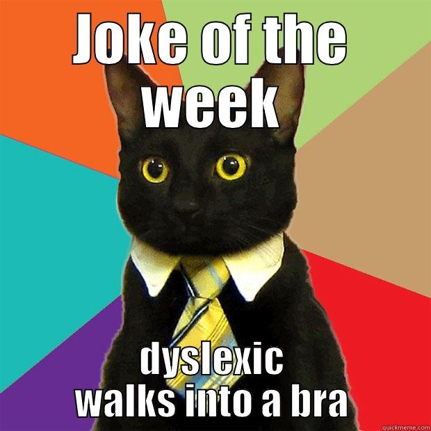 JOKE OF THE WEEK DYSLEXIC WALKS INTO A BRA Business Cat