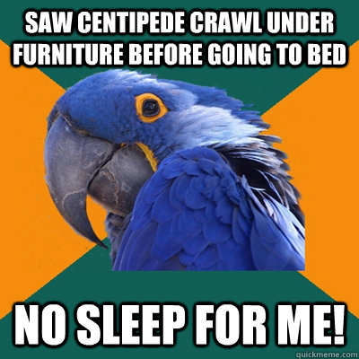 Saw centipede crawl under furniture before going to bed No sleep for me!  Paranoid Parrot