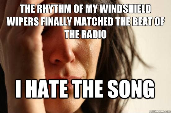 The rhythm of my windshield wipers finally matched the beat of the radio I hate the song  First World Problems