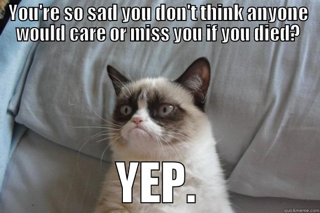 YOU'RE SO SAD YOU DON'T THINK ANYONE WOULD CARE OR MISS YOU IF YOU DIED? YEP. Grumpy Cat