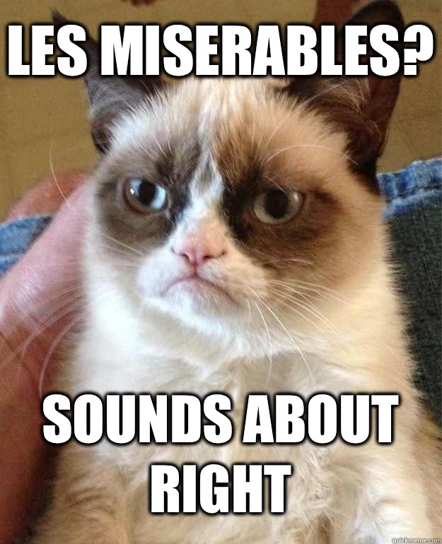 Les Miserables? Sounds about right - Les Miserables? Sounds about right  Grumpy Cat