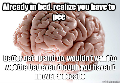 Already in bed, realize you have to pee Better get up and go, wouldn't want to wet the bed even though you haven't in over a decade   Scumbag Brain