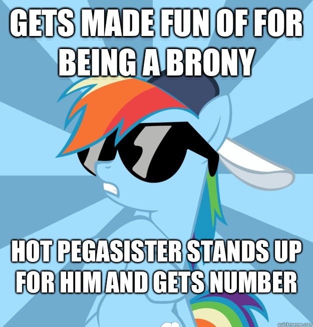Gets made fun of for being a brony Hot pegasister stands up for him and gets number  Socially Awesome Brony
