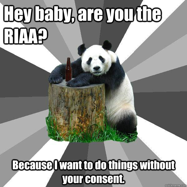 Hey baby, are you the RIAA? Because I want to do things without your consent.  Pickup-Line Panda