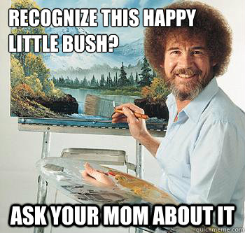 Recognize this happy little bush? Ask your mom about it - Recognize this happy little bush? Ask your mom about it  BossRob