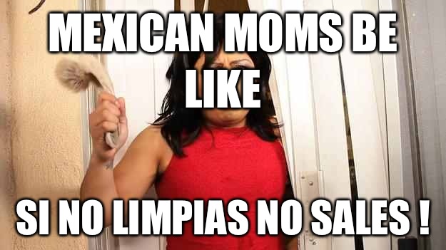 Mexican Moms be like Si no limpias no sales !  