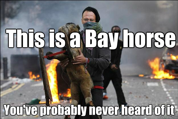 This is a Bay horse You've probably never heard of it  Hipster Rioter