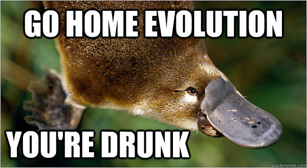 Go home Evolution you're Drunk - Go home Evolution you're Drunk  Platypus