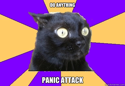 Do anything panic attack  Anxiety Cat