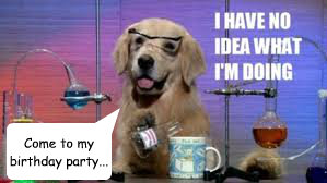 Come to my birthday party... - Come to my birthday party...  party chemistry dog