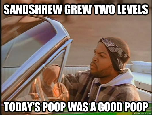 sandshrew grew two levels Today's poop was a good poop  today was a good day