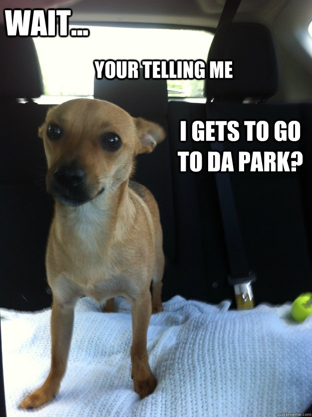 Wait...  Your telling me  I gets to go to da park? - Wait...  Your telling me  I gets to go to da park?  Misc