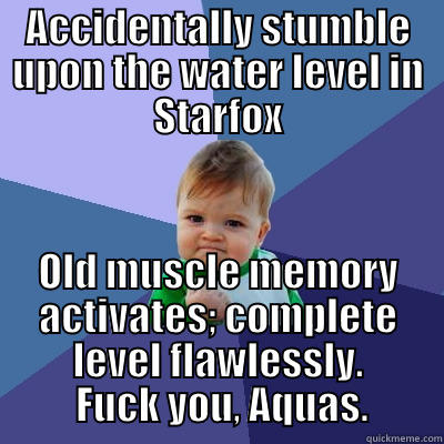 ACCIDENTALLY STUMBLE UPON THE WATER LEVEL IN STARFOX OLD MUSCLE MEMORY ACTIVATES; COMPLETE LEVEL FLAWLESSLY.  FUCK YOU, AQUAS. Success Kid