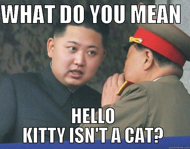 WHAT DO YOU MEAN   HELLO KITTY ISN'T A CAT? Hungry Kim Jong Un