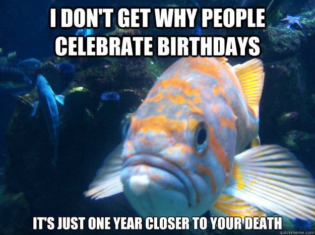 I don't get why people Celebrate birthdays It's just one year closer to your death - I don't get why people Celebrate birthdays It's just one year closer to your death  Emo Nemo