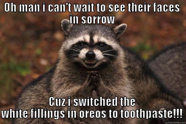 Sneaky Racoon - OH MAN I CAN'T WAIT TO SEE THEIR FACES IN SORROW CUZ I SWITCHED THE WHITE FILLINGS IN OREOS TO TOOTHPASTE!!! Evil Plotting Raccoon