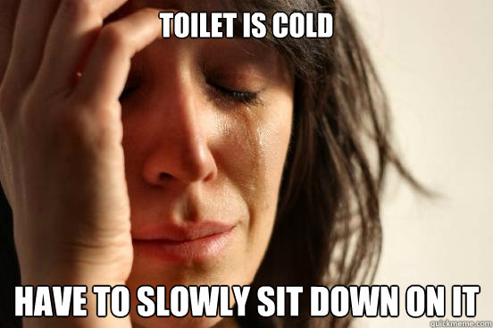 Toilet is cold Have to slowly sit down on it - Toilet is cold Have to slowly sit down on it  First World Problems