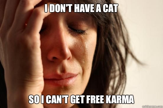 I don't have a cat So I can't get free karma  First World Problems