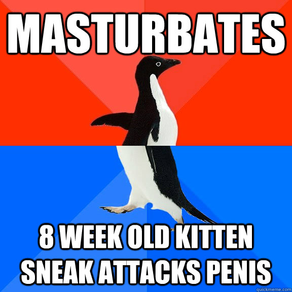 Masturbates 8 week old kitten sneak attacks penis  Socially Awesome Awkward Penguin